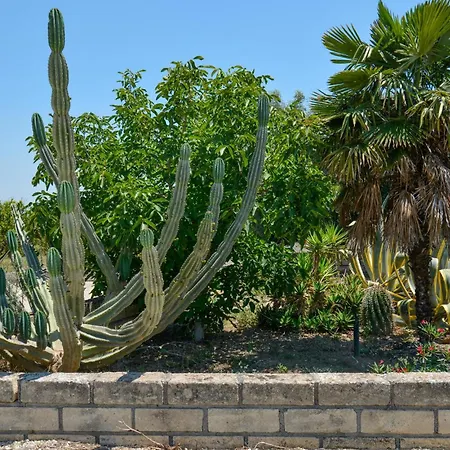 In بيت للعطل *